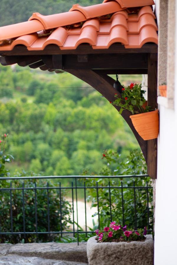 Villa Quinta Do Tapadinho - Wine & Tourism à Moimenta Extérieur photo