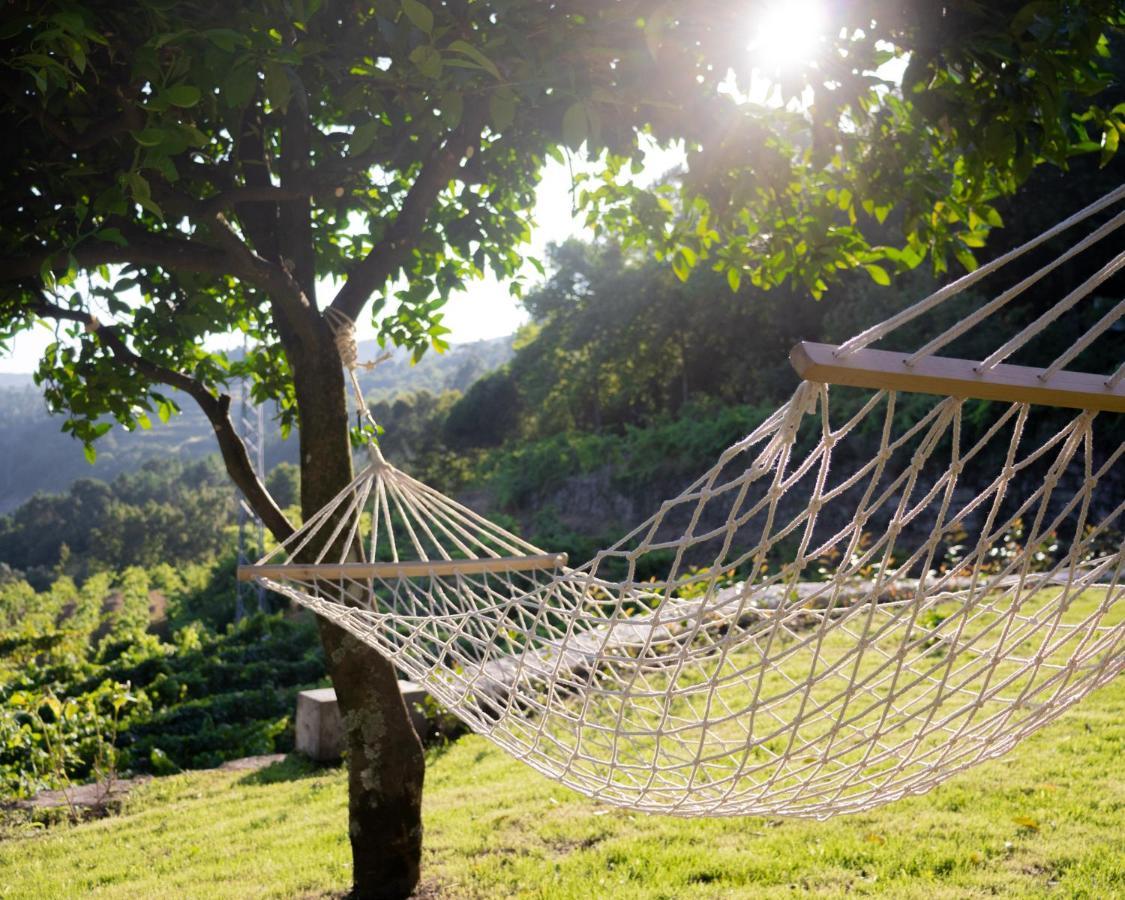 Villa Quinta Do Tapadinho - Wine & Tourism à Moimenta Extérieur photo