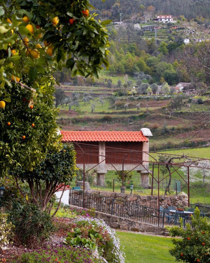 Villa Quinta Do Tapadinho - Wine & Tourism à Moimenta Extérieur photo