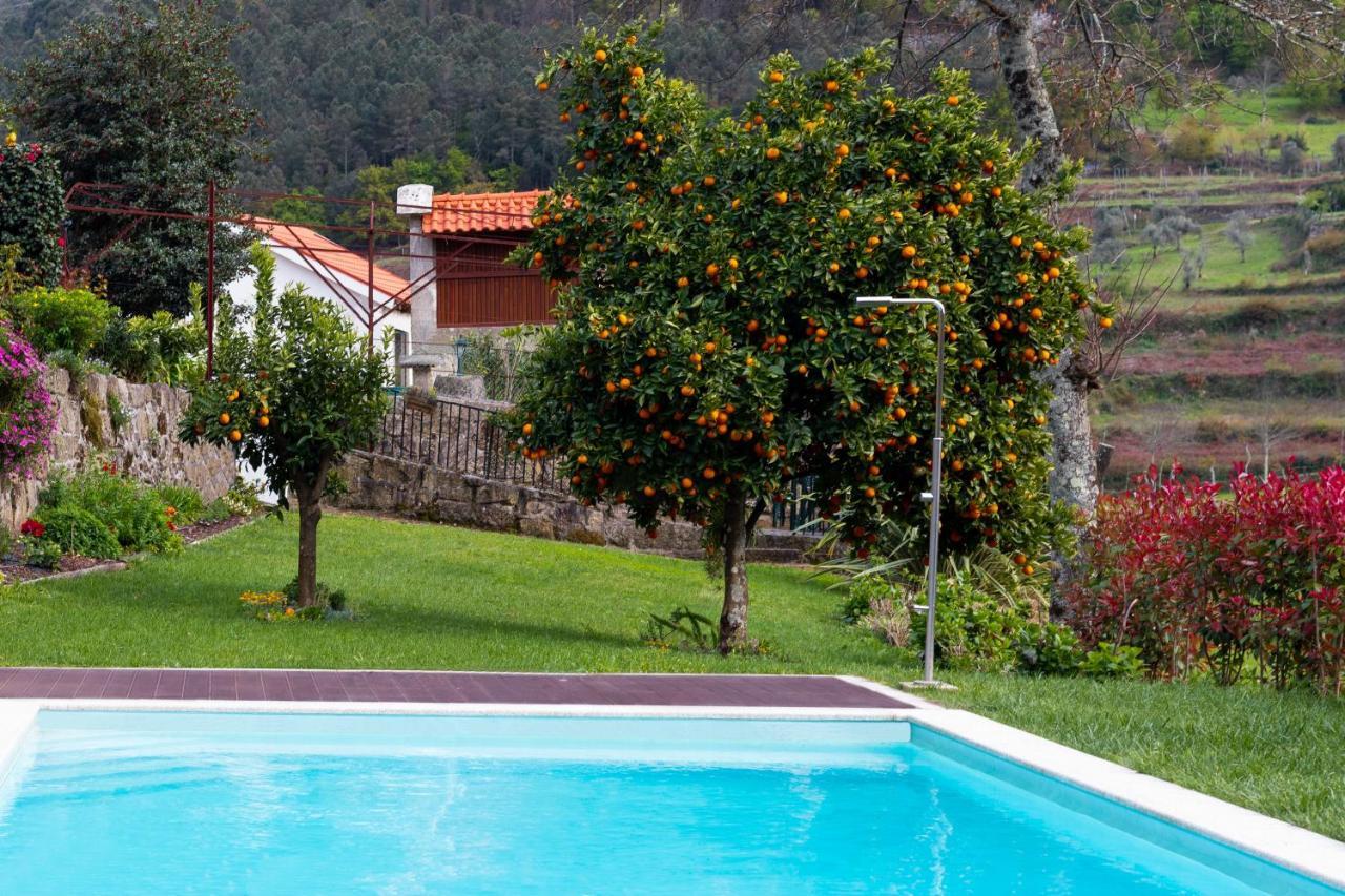 Villa Quinta Do Tapadinho - Wine & Tourism à Moimenta Extérieur photo