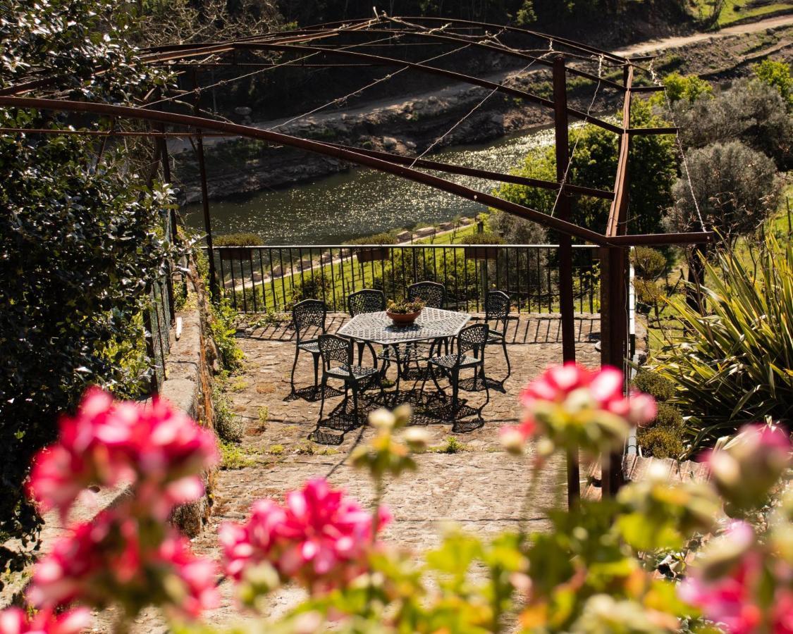 Villa Quinta Do Tapadinho - Wine & Tourism à Moimenta Extérieur photo