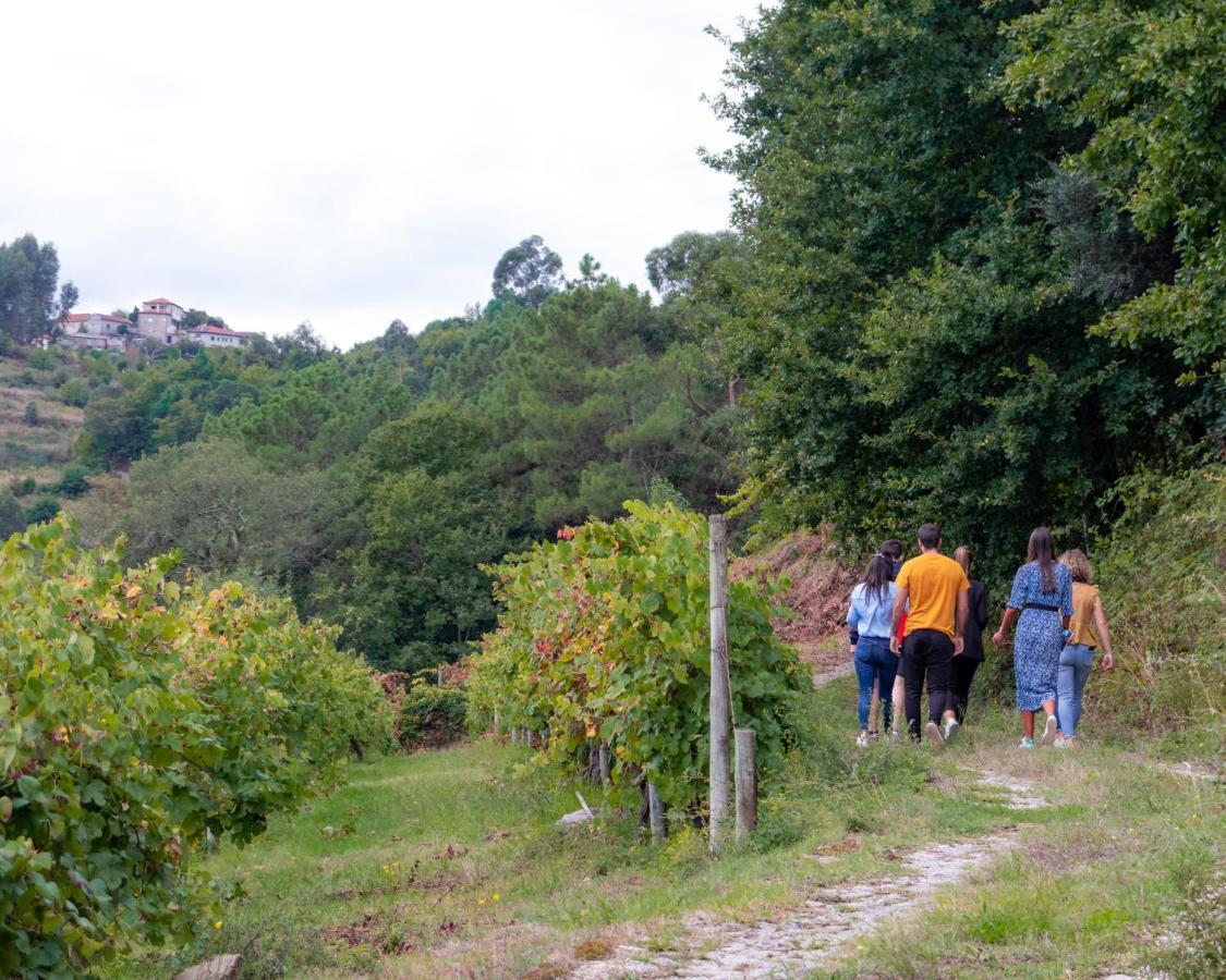 Villa Quinta Do Tapadinho - Wine & Tourism à Moimenta Extérieur photo