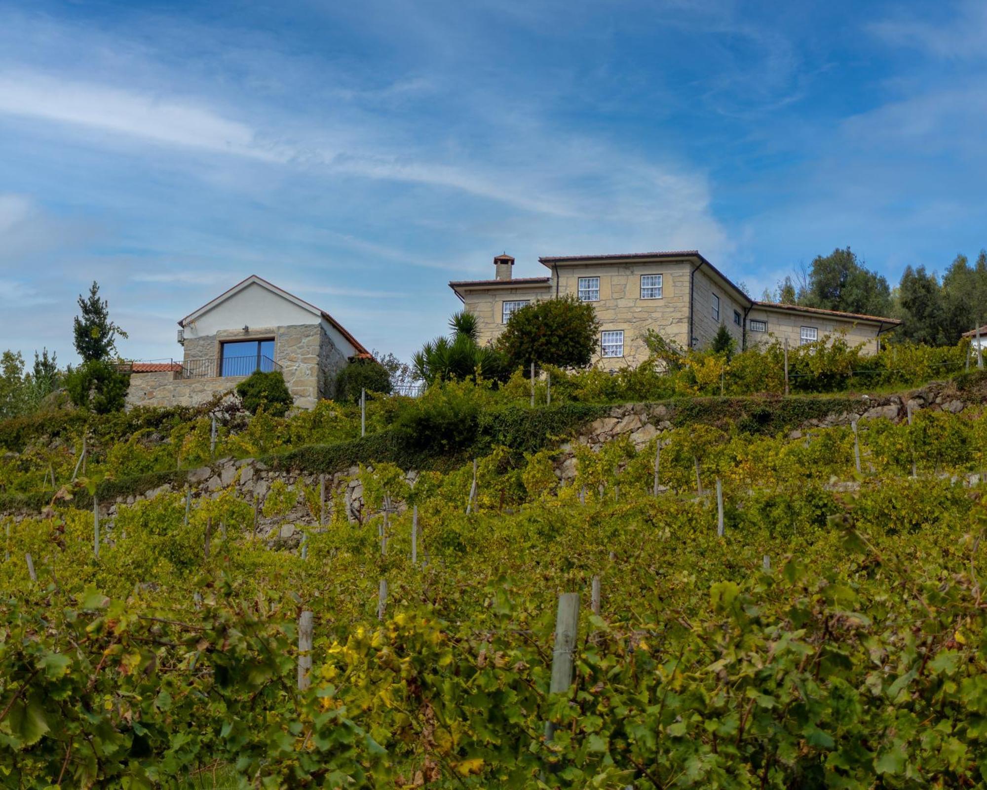 Villa Quinta Do Tapadinho - Wine & Tourism à Moimenta Extérieur photo