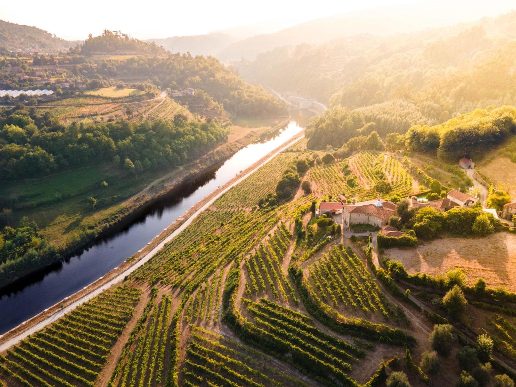 Villa Quinta Do Tapadinho - Wine & Tourism à Moimenta Extérieur photo